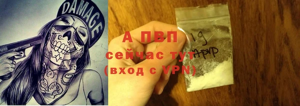 трава Верея